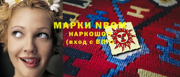 молекула духа Няндома