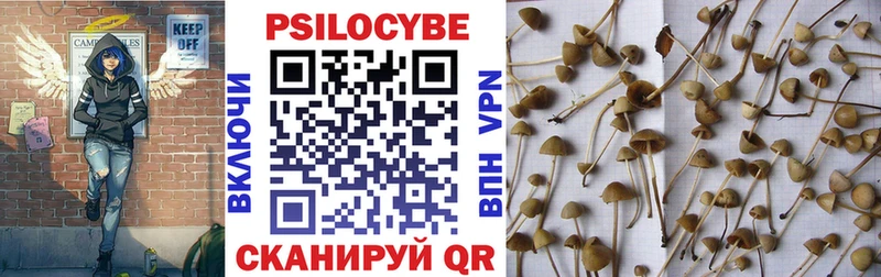 купить наркотик  Новосиль  Галлюциногенные грибы Psilocybine cubensis 